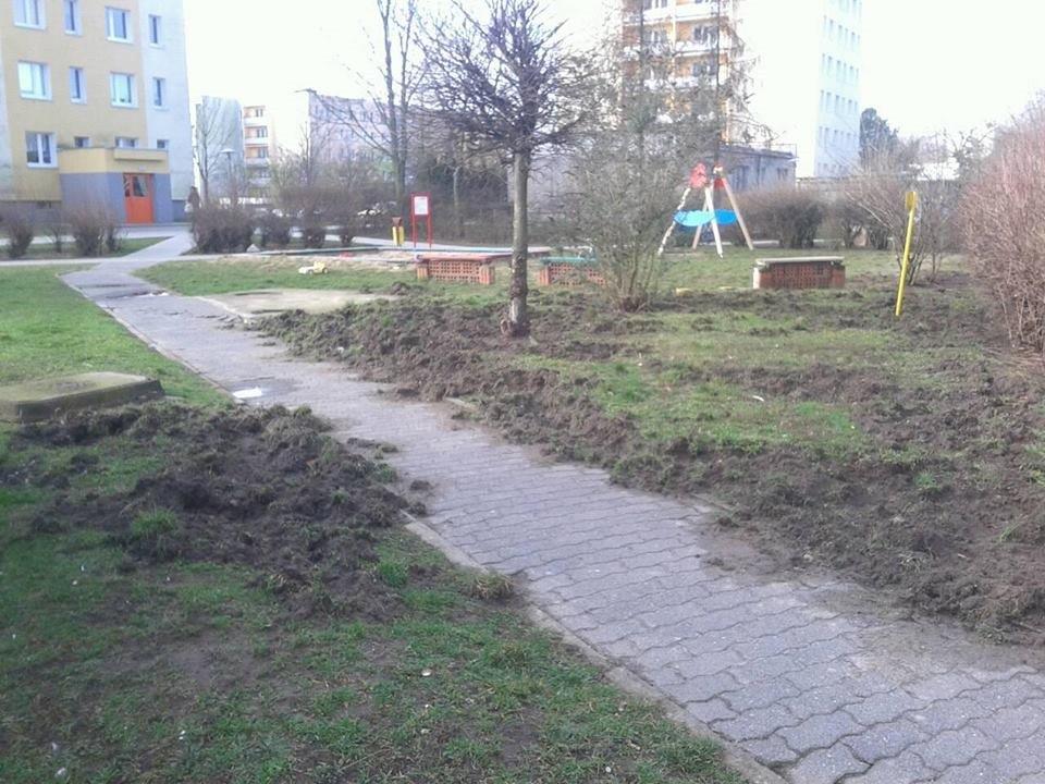 Ryjami foto 2