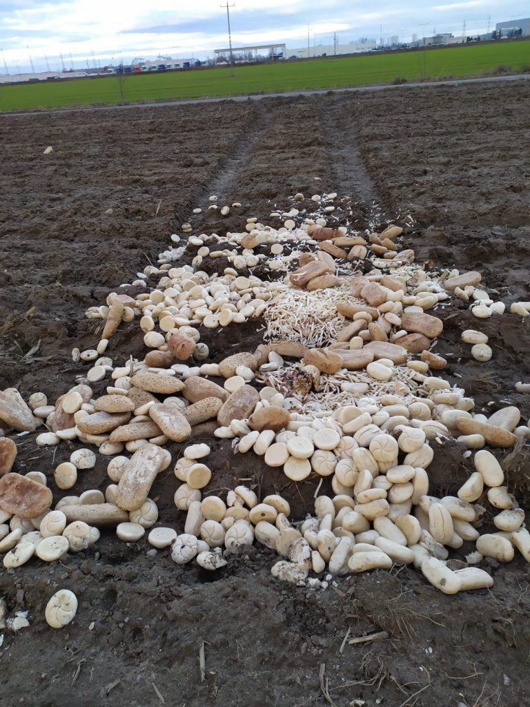 Swarzedzki Zalasewo chleb 1