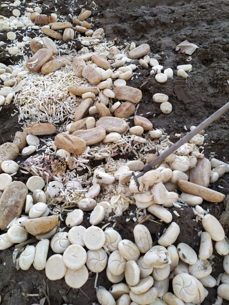 Swarzedzki Zalasewo chleb 2