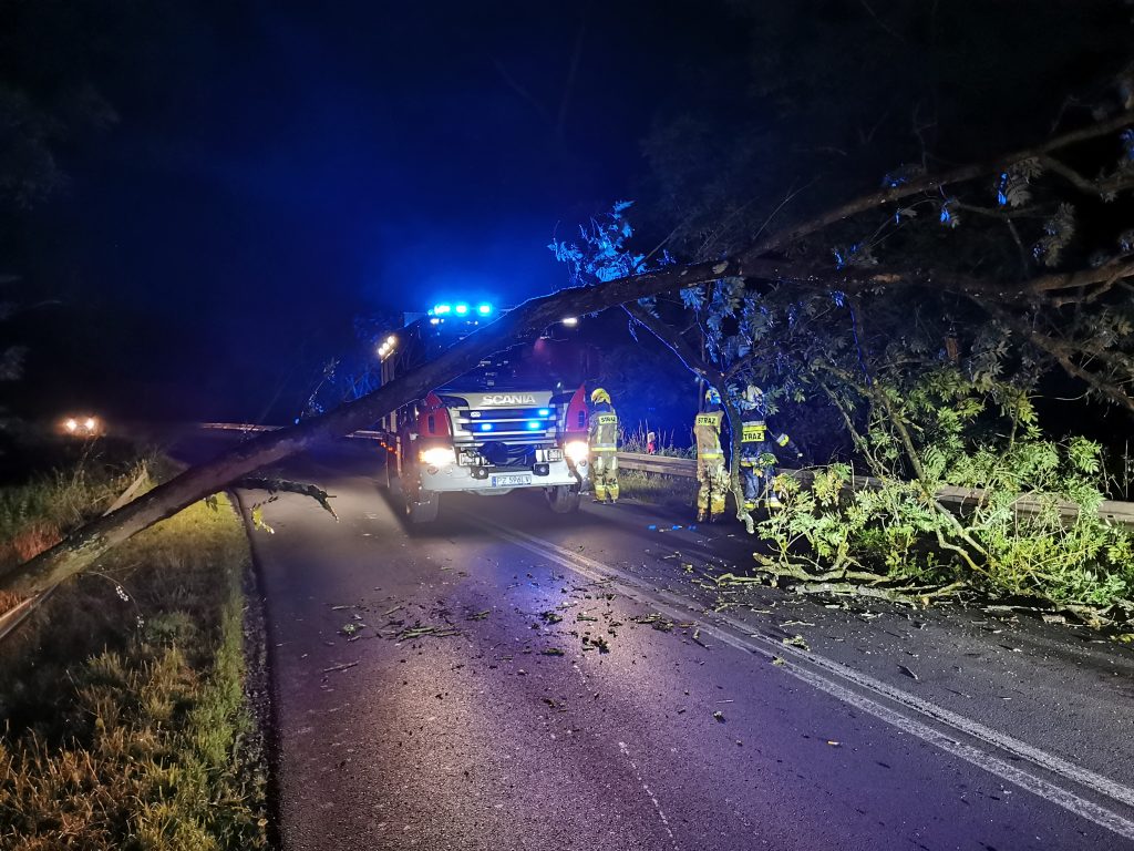 Drzewo na drodze 1 Portal Swarzedzki drzewo 2