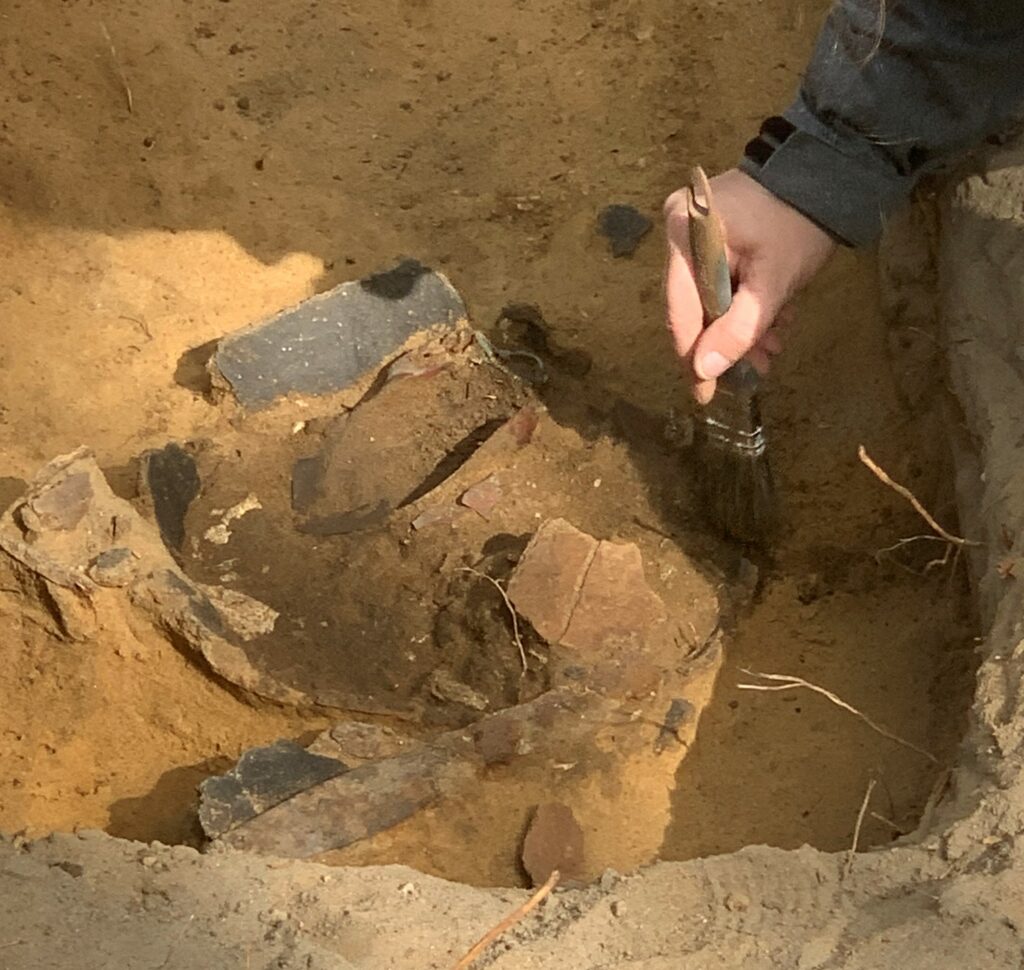 Niezwykłe odkrycie swarzędzanina! 4 Portal Swarzedzki odkrycie 01