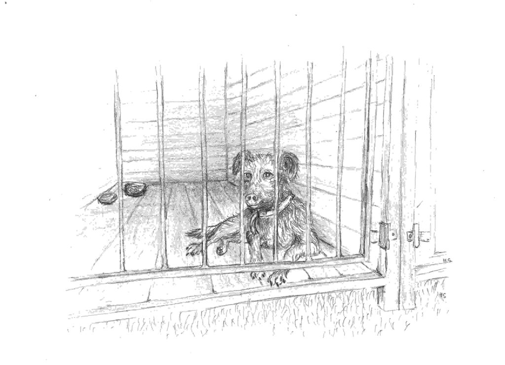 Świąteczny przyjaciel, czyli Swarzędzka Opowieść Wigilijna 1 Portal Swarzedzki opowies wigilijna 02