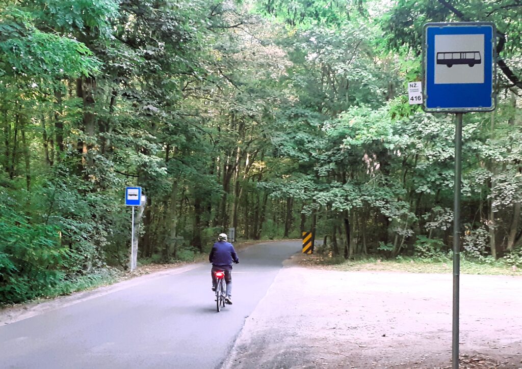 W poniedziałek debiut minibusów do Gruszczyna! 1 Minibusy 2