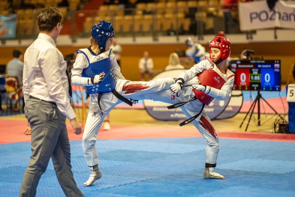 taekwondo 2