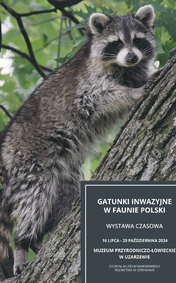 Nowa wystawa w Muzeum foto 2